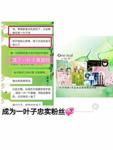 一叶子代理产品广告制作策略与执行指南